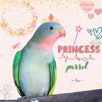  The Princess and the Parrot: En förtrollande saga från Pakistans 10:e århundrade om mod och självförverkligande!